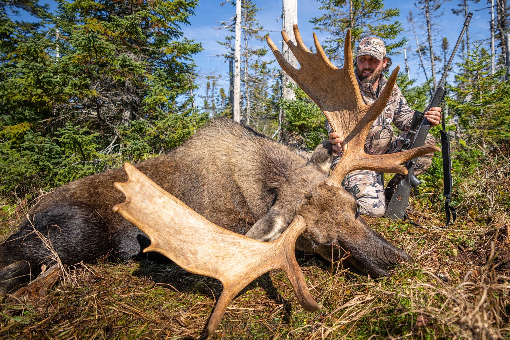 Newfoundland Moose Hunt- Remote Wilderness Camp – Remi Warren Expeditions